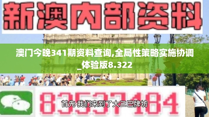 澳门今晚341期资料查询,全局性策略实施协调_体验版8.322
