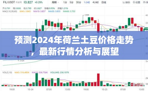2024年荷兰土豆价格预测，最新行情分析与未来展望