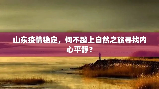 山东疫情稳定，踏上自然之旅寻找内心宁静之道