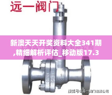 新澳天天开奖资料大全341期,精细解析评估_移动版17.347