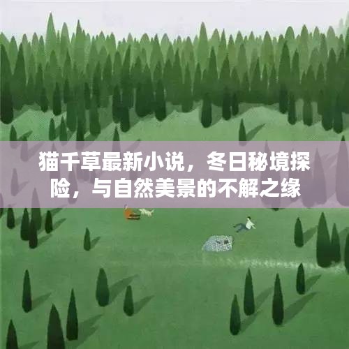 猫千草最新小说揭秘，冬日秘境探险与自然的奇缘