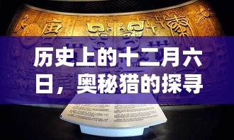 深远影响 第4页