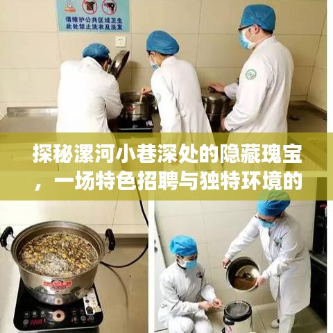 漯河小巷深处的独特招聘奇遇，隐藏瑰宝的探秘之旅