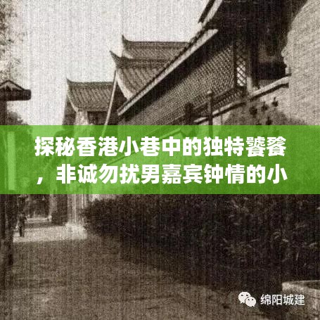 香港小巷美食探秘，男嘉宾钟情的小店秘境之旅