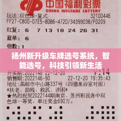 扬州新升级车牌选号系统，智能选号引领现代生活新篇章