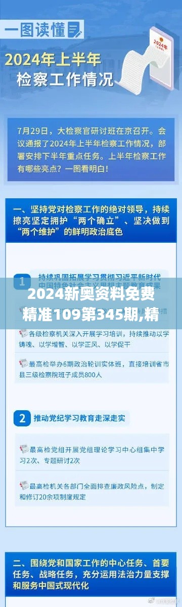 2024新奥资料免费精准109第345期,精细设计计划_soft6.661