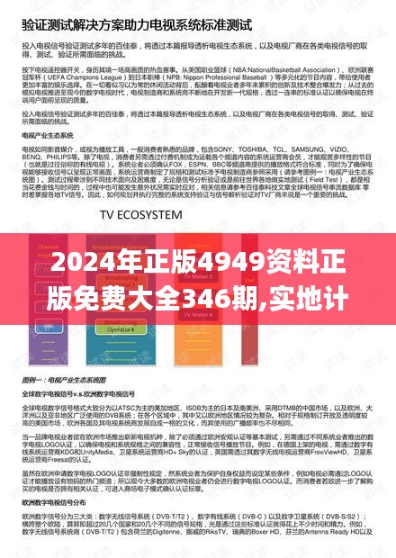 2024年正版4949资料正版免费大全346期,实地计划验证策略_挑战版1.884