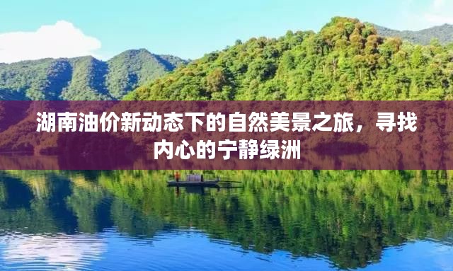自然美景探索 第3页