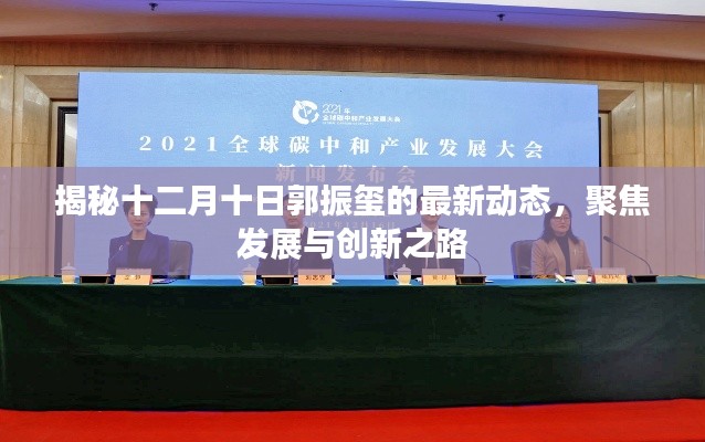 揭秘郭振玺十二月十日最新动态，聚焦发展与创新之路