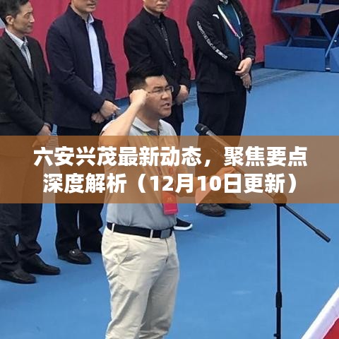 六安兴茂最新动态深度解析（12月10日更新聚焦）