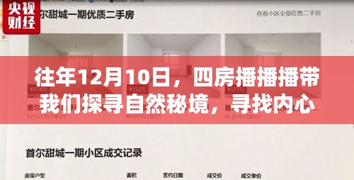 探寻自然秘境，四房播播播带我们寻找内心的平和之地