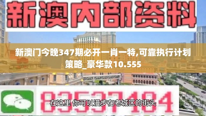 新澳门今晚347期必开一肖一特,可靠执行计划策略_豪华款10.555