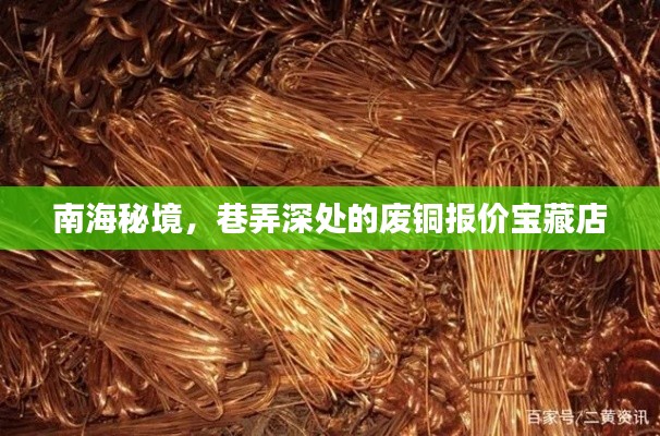 南海秘境深处的宝藏店，废铜报价探秘