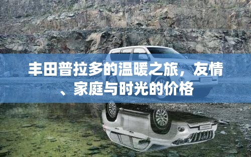 洵属可贵 第3页
