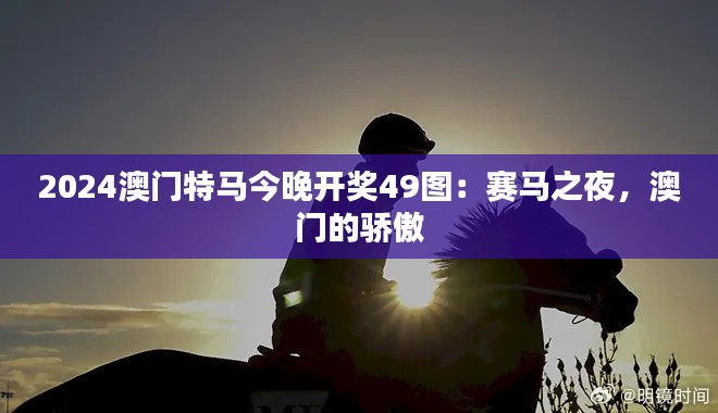 2024澳门特马今晚开奖49图：赛马之夜，澳门的骄傲
