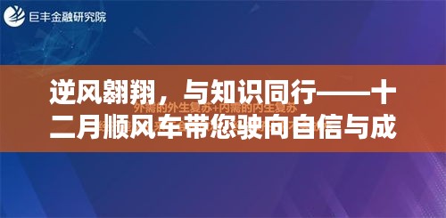 逆风翱翔，知识同行，十二月顺风车驶向星辰大海的自信与成就之路
