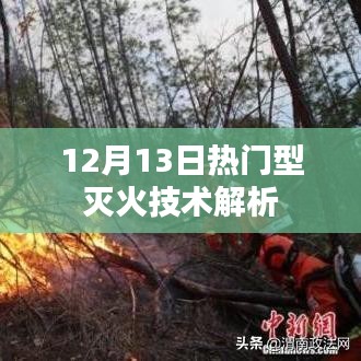 反朴归真 第3页