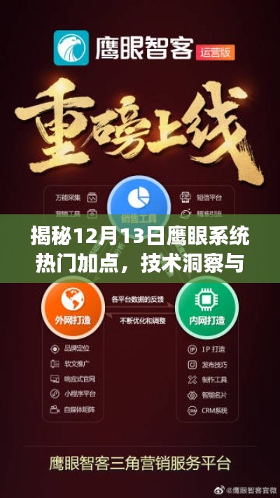 揭秘鹰眼系统最新热门加点，技术洞察与策略升级指南（12月13日）