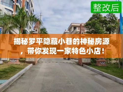 百不获一 第3页
