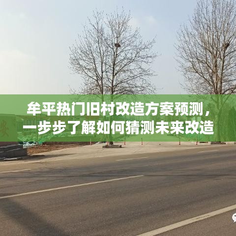 趋势预测
