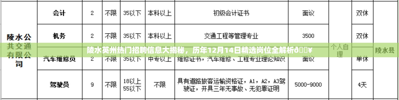 陵水英州热门招聘揭秘，历年精选岗位全解析（附日期，12月14日）