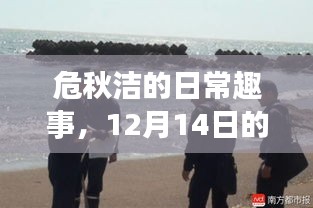 衣不完采 第2页
