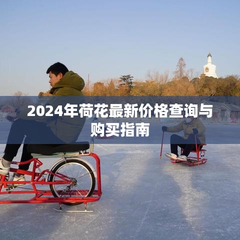 千娇百媚 第3页