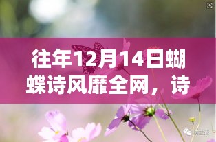 千里迢迢 第3页