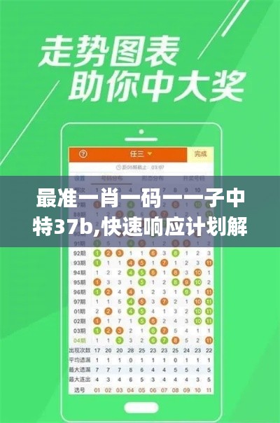 最准一肖一码一一子中特37b,快速响应计划解析_策略版2.400