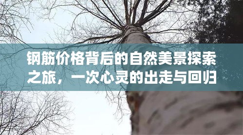 人贵自立 第3页