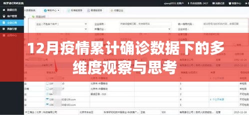 12月疫情累计确诊数据的多维度观察与深度思考