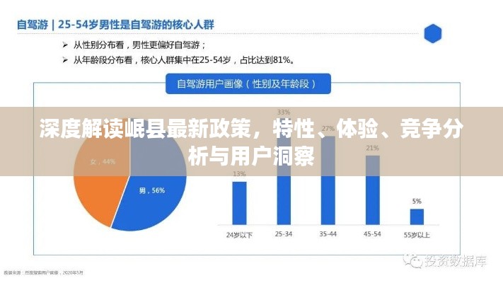 用户洞察
