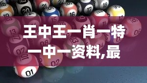 王中王一肖一特一中一资料,最新答案解释落实_复刻版1.199