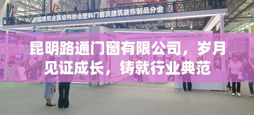行业典范