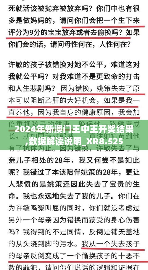 2024年新澳门王中王开奖结果,数据解读说明_XR8.525
