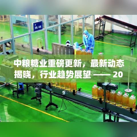 中粮糖业最新动态与行业趋势展望，重磅更新消息揭晓（2024年12月18日）