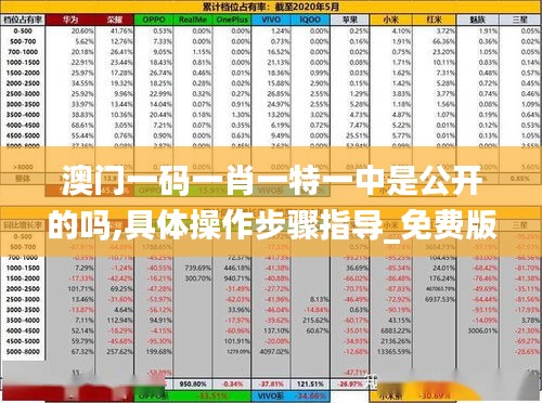 澳门一码一肖一特一中是公开的吗,具体操作步骤指导_免费版110.429