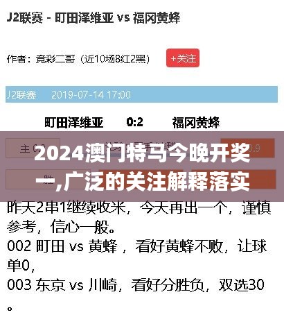 2024澳门特马今晚开奖一,广泛的关注解释落实热议_挑战款11.452