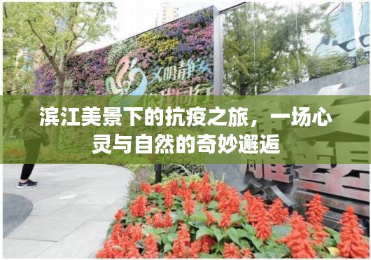 滨江美景下的抗疫之旅，心灵与自然的交融邂逅