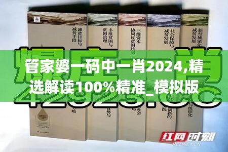 管家婆一码中一肖2024,精选解读100%精准_模拟版11.355