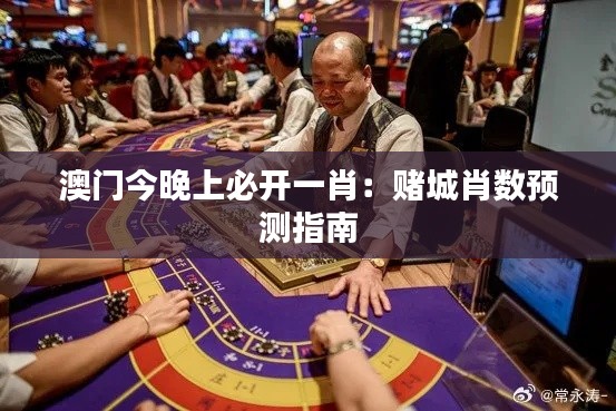 澳门今晚上必开一肖：赌城肖数预测指南