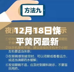 饶平黄冈最新招聘汇总，职场人必看指南（12月18日）