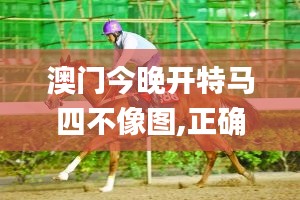 澳门今晚开特马四不像图,正确解答落实_10DM11.120