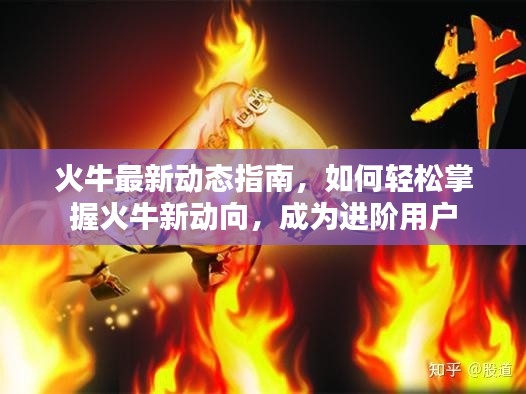 火牛最新动态指南，轻松掌握火牛新动向，进阶用户必备攻略