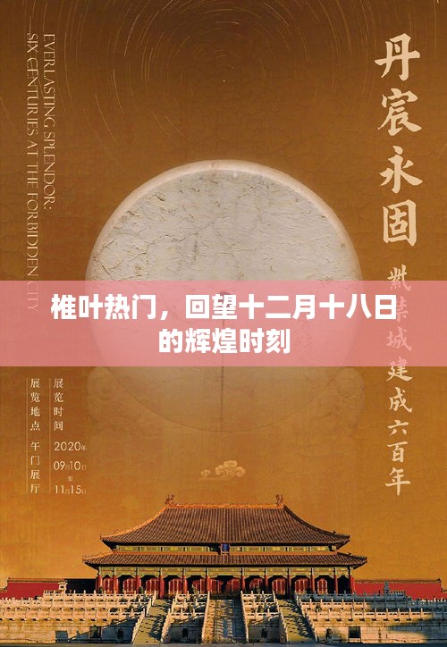 椎叶热门盛宴，回望十二月十八日的辉煌瞬间