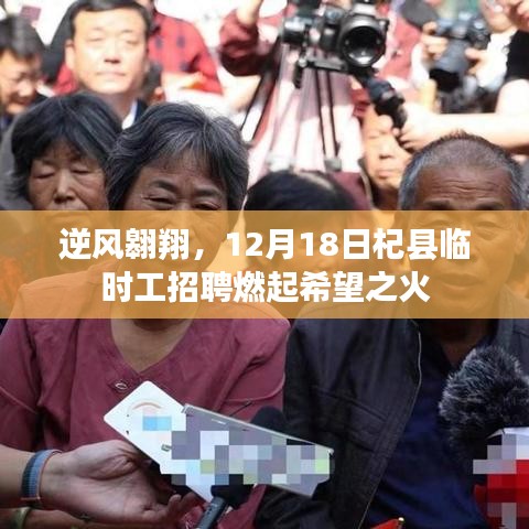 逆风翱翔