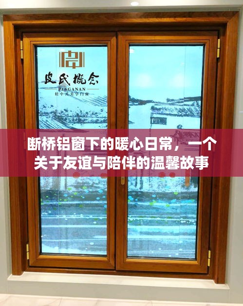 断桥铝窗下的暖心日常，友谊与陪伴的温馨篇章