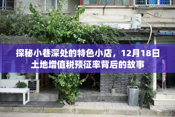 探秘小巷特色小店与土地增值税预征率背后的故事