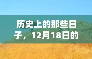 12月18日历史自然之旅，寻找内心的宁静与平和
