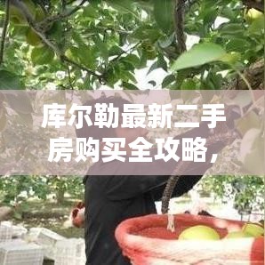 库尔勒最新二手房购买指南，2024年购房步骤详解